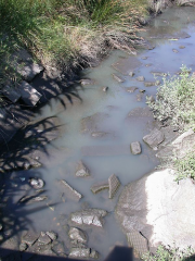 Verquido de fecais no LIC do esteiro da Foz