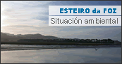 Esteiro da Foz do Mi&ntilde;or - Situaci&oacute;n ambiental
