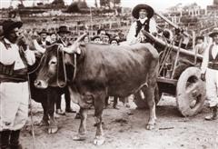 Feira da Ramallosa. Foto IEM